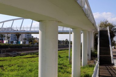 Köprü - Kuzey İsrail 'deki bir orman parkında inşa edilmiş yapay bir yapı. 