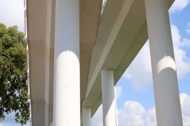 Köprü - Kuzey İsrail 'deki bir orman parkında inşa edilmiş yapay bir yapı. 