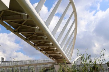 Köprü - Kuzey İsrail 'deki bir orman parkında inşa edilmiş yapay bir yapı. 