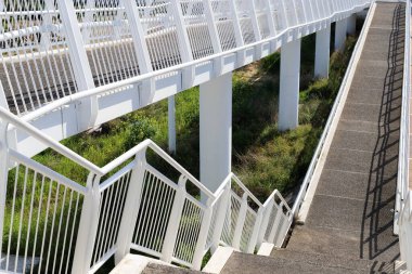 Köprü - Kuzey İsrail 'deki bir orman parkında inşa edilmiş yapay bir yapı. 