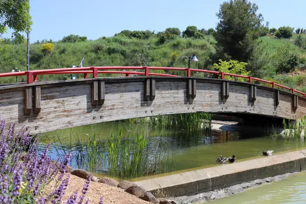 Brücke Eine Künstliche Struktur Die Einem Stadtwaldpark Norden Israels Errichtet — Stockfoto