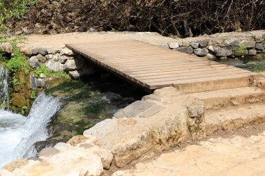 Köprü - Kuzey İsrail 'deki bir orman parkında inşa edilmiş yapay bir yapı. 