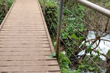 Köprü - Kuzey İsrail 'deki bir orman parkında inşa edilmiş yapay bir yapı. 