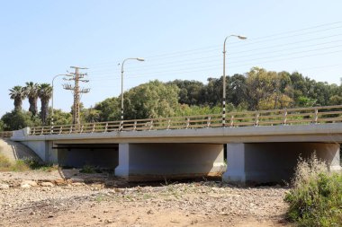 Köprü - Kuzey İsrail 'deki bir orman parkında inşa edilmiş yapay bir yapı. 