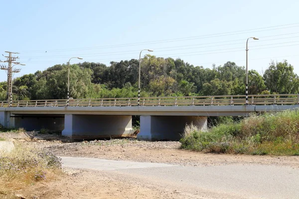 Puente Una Estructura Artificial Construida Parque Forestal Ciudad Norte Israel — Foto de Stock
