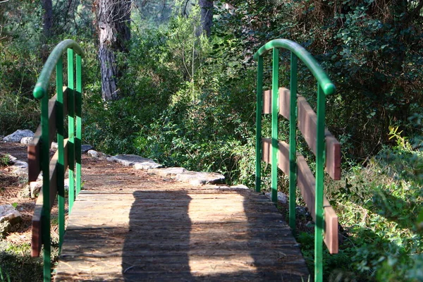 Bridge Artificial Structure Built City Forest Park Northern Israel — Stock Photo, Image