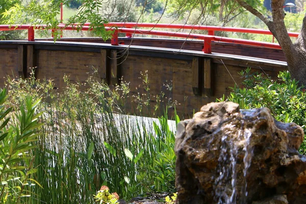 Brücke Eine Künstliche Struktur Die Einem Stadtwaldpark Norden Israels Errichtet — Stockfoto