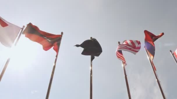 View Of National Flags Of Southeast Asia Countries Brunei Darussalam Myanmar Burma Cambodia Indonesia Laos Malaysia Philippines Singapore Thailand Vietnam East Timor Video By C Milk Records Bk Ru Stock Footage 162044694