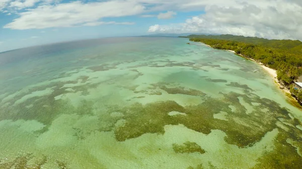 Aerial view of Bohol coast Island. Aerial. Fisheye view. Philippines.