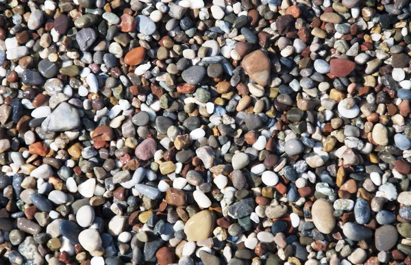 Küçük deniz çakıl