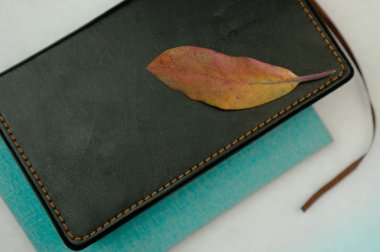 Natürmort. Sarı yaprak ormangülü, beyaz kumaş üzerine kitaplar. yakın çekim. Üstten Görünüm