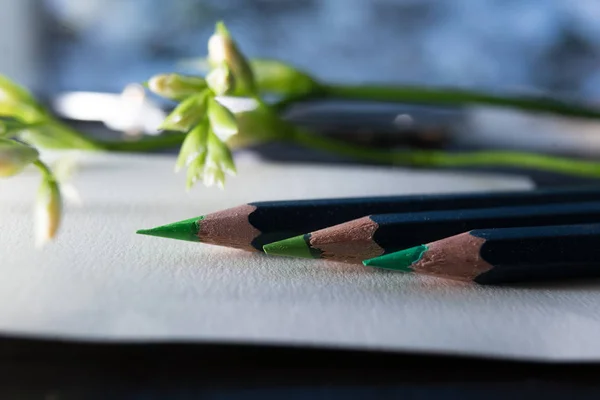 Frühling, Satz grüne Bleistifte und Freesiazweig auf weißem Papier. Nahaufnahme — Stockfoto