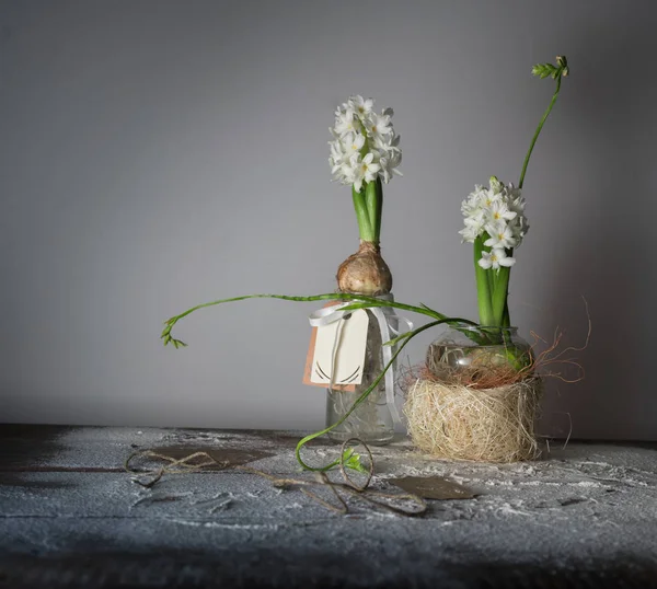 Nature morte avec jacinthes et freesias dans des vases en verre . — Photo
