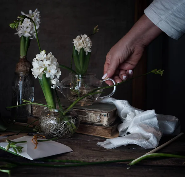 Drie witte hyacinth en fresia's in transparante vazen, een vrouwelijke hand op donkere achtergrond — Stockfoto