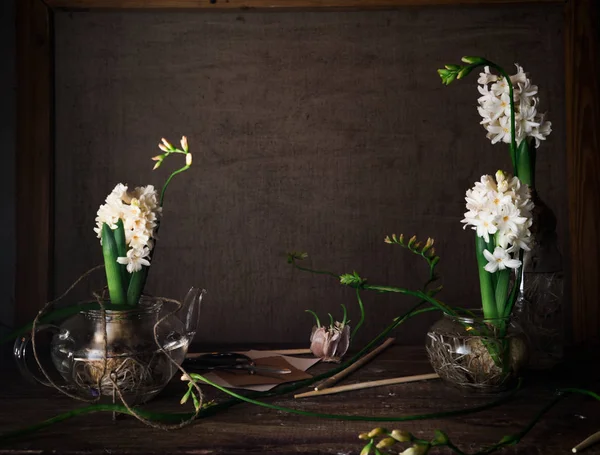 Drie witte hyacinth in transparante vazen op een donkere achtergrond — Stockfoto