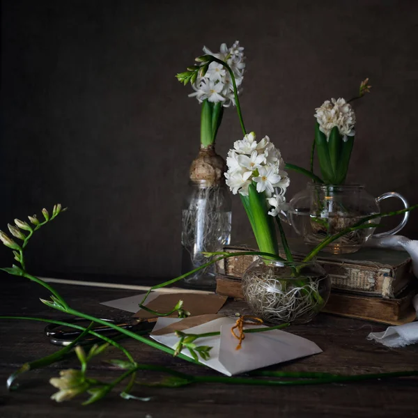 Drie witte hyacinth en fresia's in transparante vazen, letter, envelop op een donkere achtergrond — Stockfoto