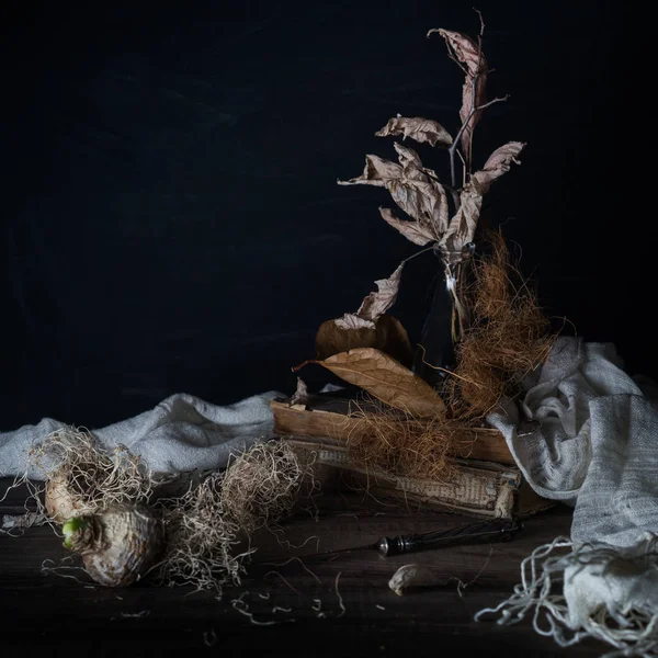 Stilleven met uien en droge bladeren in een vaas op een houten tafel op een donkere achtergrond — Stockfoto