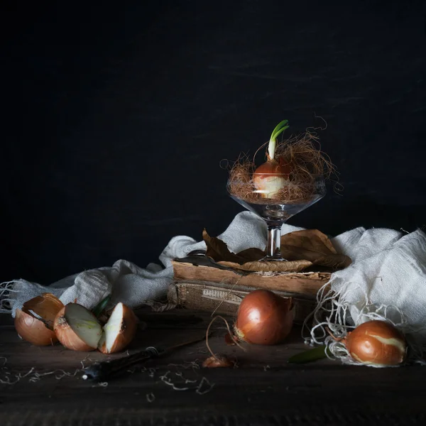 Naturaleza muerta con cebollas sobre una mesa de madera sobre un fondo oscuro — Foto de Stock