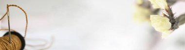 Başlık banner site tasarımı için. Iğne işi, el yapımı. Bobin iplik ve orkide. Yatay biçimi, metin için yer