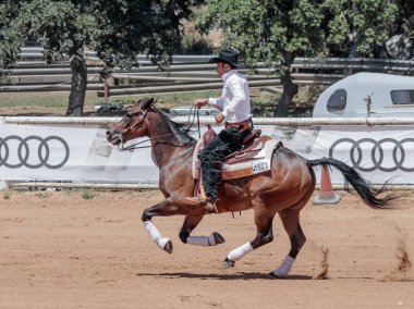 At çiftliğinde binicilik yarışmalar katılımcılar gerçekleştirmek 