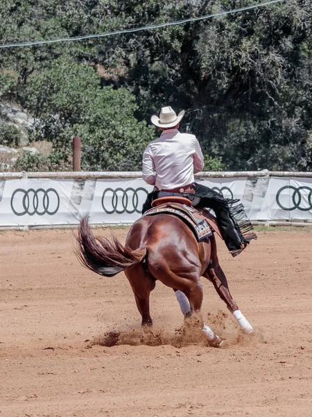 Participants in equestrian competitions perform on a horse farm — Stock Photo, Image