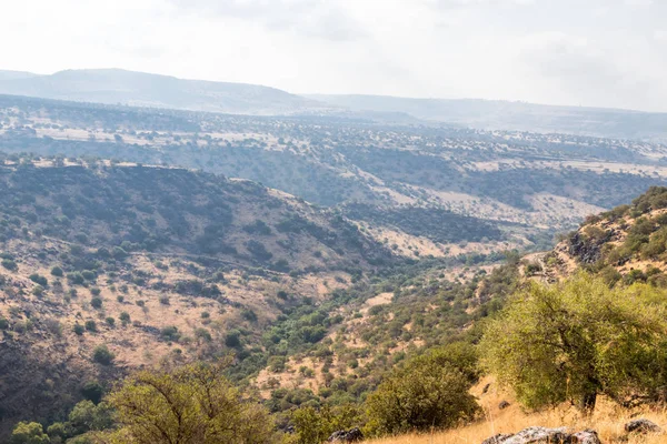 ゴラン高原イスラエルの六角形のプールの近くに、自然観. — ストック写真