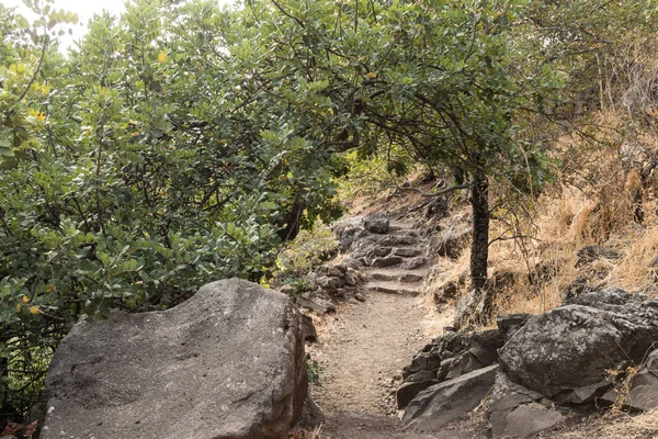 Una vista de la naturaleza en los Altos del Golán cerca de los Hexagones Po — Foto de Stock