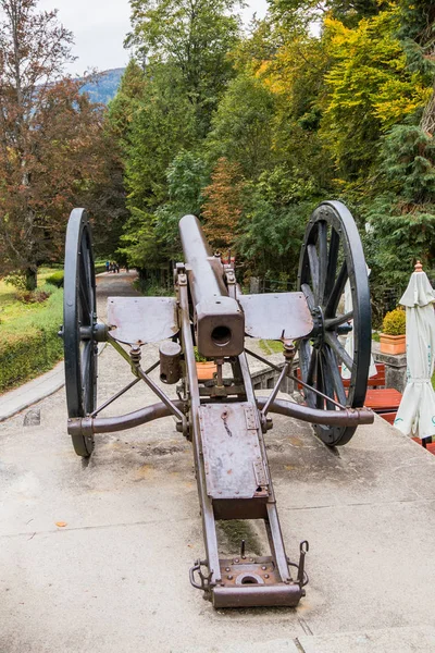 Sinaia, Romanya Pelesh castle civarındaki Regal silah bar girişinde bulunan — Stok fotoğraf