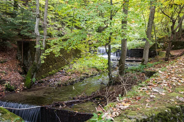Akış Pelesului Romanya Sinaia'daki Bahçe Peles Castle
