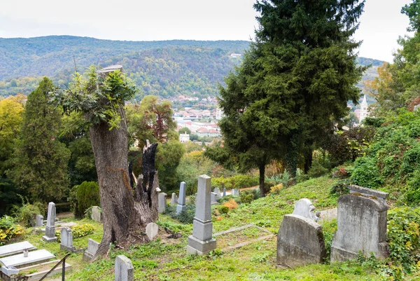 Starý hřbitov v zámku ve starém městě. Město Sighisoara v Rumunsku — Stock fotografie