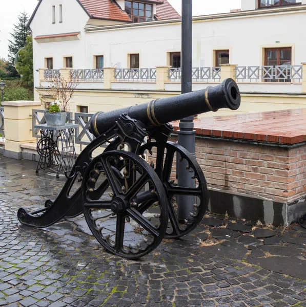Dekoratif cannon devlet Filarmoni Sibiu - yağmurlu bir günde Cetatii sokakta Thalia konser salonu önünde. Sibiu şehir Romanya — Stok fotoğraf
