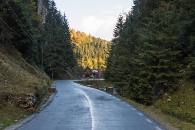 Romanya kepek town yakınındaki Karpat Dağları'nın eteklerinde gorge tümleştirilmesidir yol