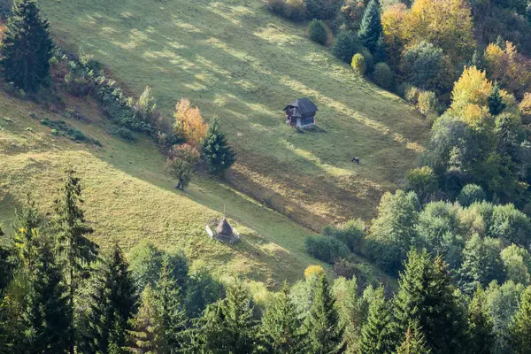 Farma v údolí na úpatí karpatských hor poblíž města Bran v Rumunsku — Stock fotografie