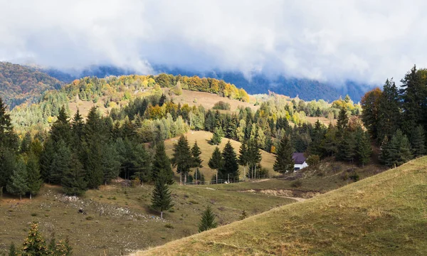Αγρόκτημα στην κοιλάδα του πρόποδες της οροσειράς των Καρπαθίων κοντά της πόλης Bran στη Ρουμανία — Φωτογραφία Αρχείου