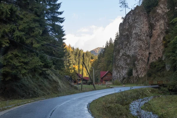 A estrada que passa no desfiladeiro ao pé das montanhas dos Cárpatos perto da cidade de Bran, na Roménia — Fotografia de Stock