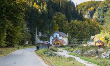 Romanya kepek town yakınındaki Karpat Dağları'nın eteklerinde çiftlik buradan geçen yol