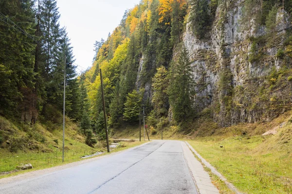 El camino que pasa en el desfiladero al pie de las montañas Cárpatos cerca de la ciudad de Bran en Rumania — Foto de Stock