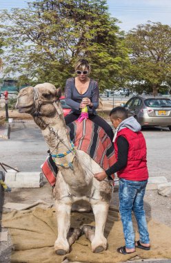 Deve sürücüsü bir deve Yeriho İsrail'de oturmak için ziyaretçi yardımcı olur.