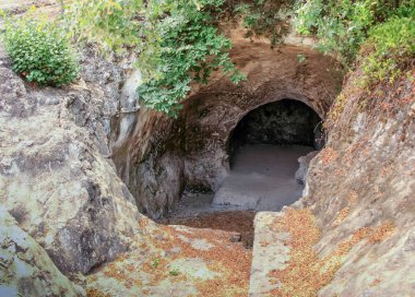 Bir nekropol bahis She'arim Milli Parkı içinde Kiriyat Tivon şehrin İsrail'in ruins