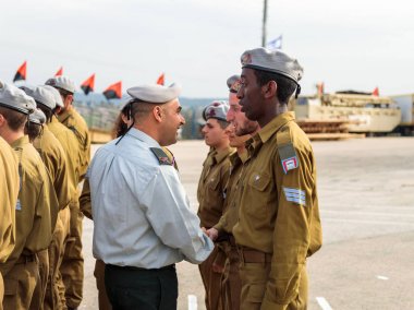 IDF subayların mühendislik Kolordu Fallen Abide Mishmar David, İsrail oluşumunda, Insignia askerle ödül