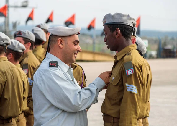 IDF subayların mühendislik Kolordu Fallen Abide Mishmar David, İsrail oluşumunda, Insignia askerle ödül