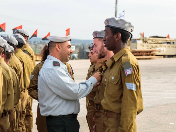 IDF subayların mühendislik Kolordu Fallen Abide Mishmar David, İsrail oluşumunda, Insignia askerle ödül
