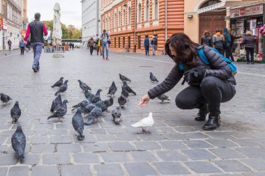 Genç kadın güvercin Brasov eski şehir Romanya içinde açık havada besleme