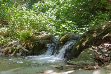 İsrail'in kuzeyinde bir orman akıştaki Kziv küçük şelale