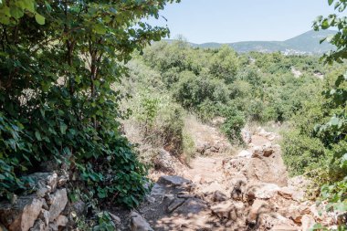Ormanlık bir yamaç geçen ve Amud nehre inen yol