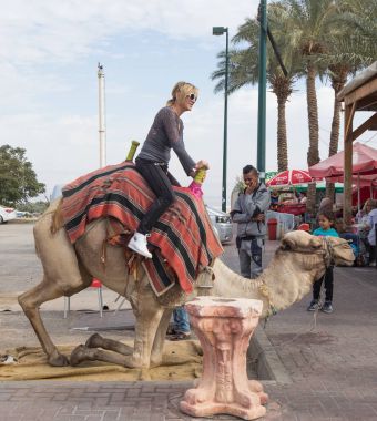 Deve sürücüsü deve Yeriho İsrail'in üzerinden inmeye ziyaretçi yardımcı olur.
