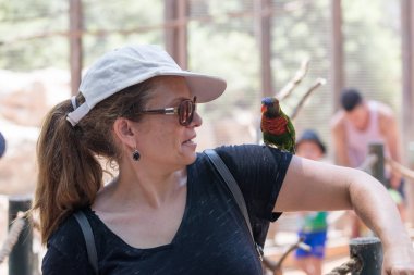 Genç kadın Avustralya Hayvanat Bahçesi Gan Guru Kibbutz Nir David, İsrail'in el papağan oturur