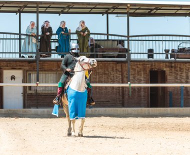 Atlı şövalye Goren Park İsrail şövalye Festivali'nde gösterilmesini hazırlanıyor