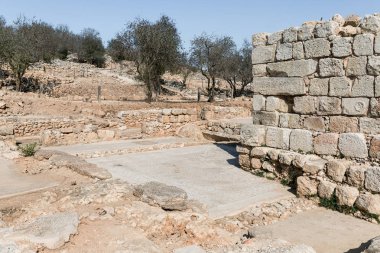 İsrail 'in Benjamin bölgesindeki Samarya bölgesinde antik Shiloh arkeoloji sahasının arkeolojik kazıları