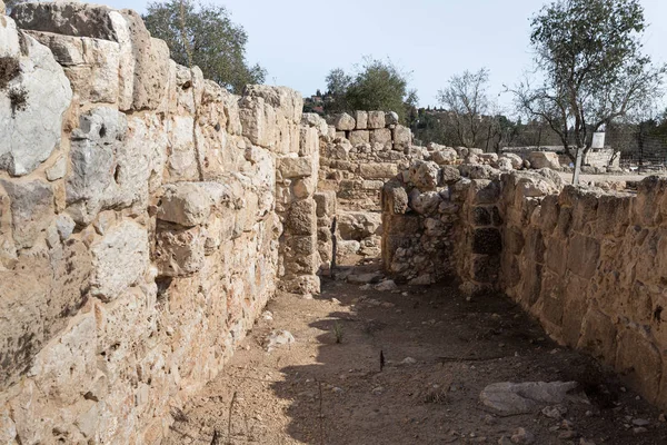 以色列Benjamin区Samaria地区Shiloh古代考古遗址考古发掘 — 图库照片